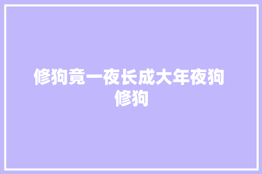 修狗竟一夜长成大年夜狗 修狗