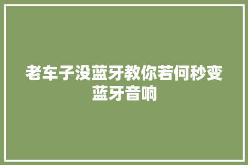 老车子没蓝牙教你若何秒变蓝牙音响