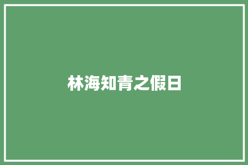 林海知青之假日