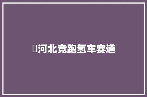 ​河北竞跑氢车赛道