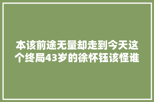 本该前途无量却走到今天这个终局43岁的徐怀钰该怪谁呢