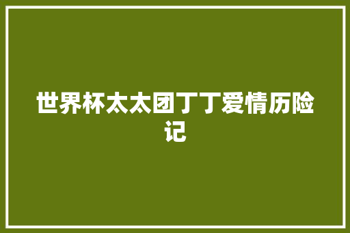 世界杯太太团丁丁爱情历险记