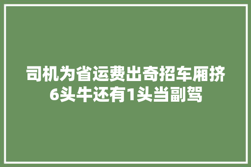 司机为省运费出奇招车厢挤6头牛还有1头当副驾
