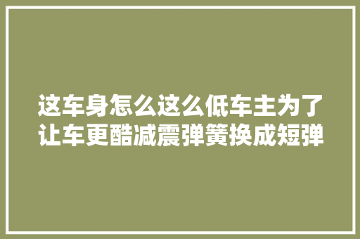 这车身怎么这么低车主为了让车更酷减震弹簧换成短弹簧了