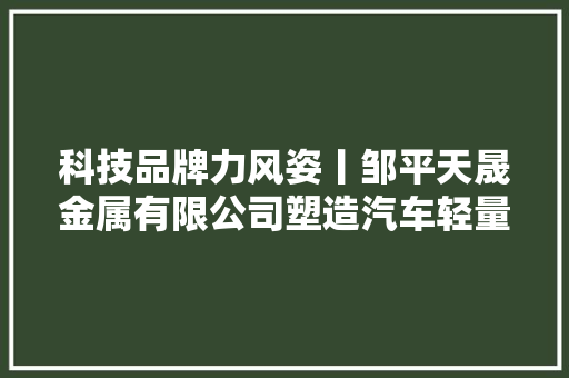 科技品牌力风姿丨邹平天晟金属有限公司塑造汽车轻量化行业标杆企业