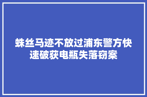 蛛丝马迹不放过浦东警方快速破获电瓶失落窃案
