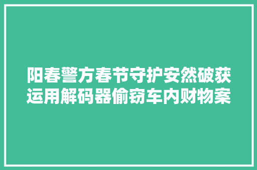 阳春警方春节守护安然破获运用解码器偷窃车内财物案