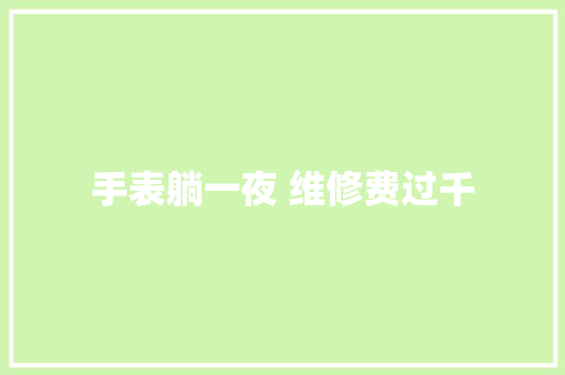 手表躺一夜 维修费过千