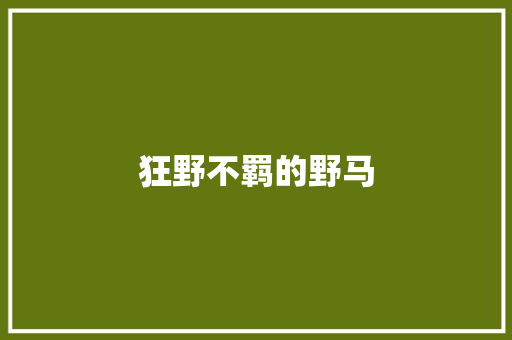 狂野不羁的野马