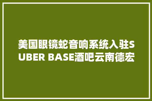 美国眼镜蛇音响系统入驻SUBER BASE酒吧云南德宏盈江店