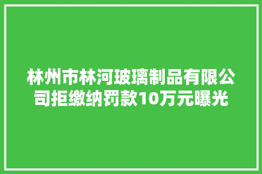林州市林河玻璃制品有限公司拒缴纳罚款10万元曝光