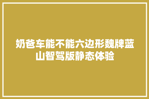 奶爸车能不能六边形魏牌蓝山智驾版静态体验