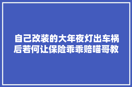 自己改装的大年夜灯出车祸后若何让保险乖乖赔喵哥教你一招