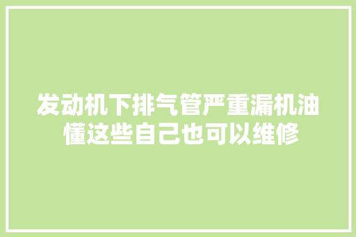 发动机下排气管严重漏机油 懂这些自己也可以维修