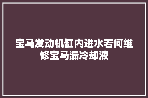 宝马发动机缸内进水若何维修宝马漏冷却液