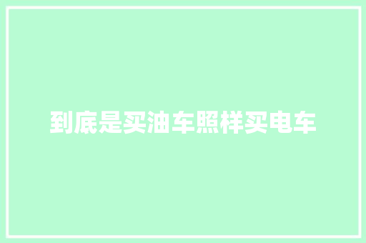 到底是买油车照样买电车