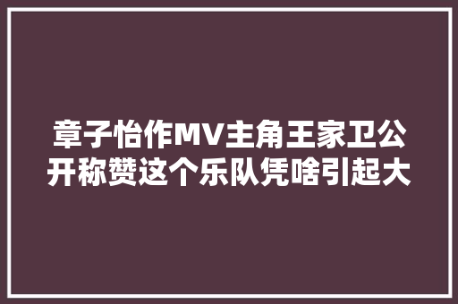 章子怡作MV主角王家卫公开称赞这个乐队凭啥引起大年夜咖的关注