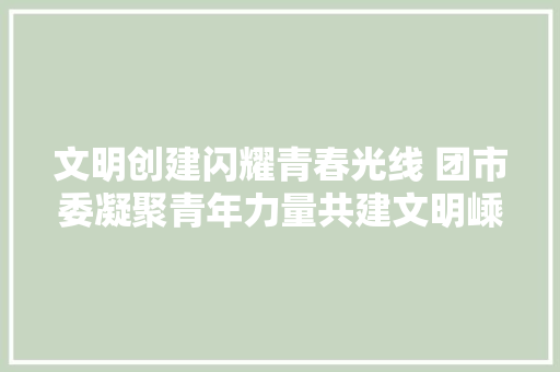 文明创建闪耀青春光线 团市委凝聚青年力量共建文明嵊州