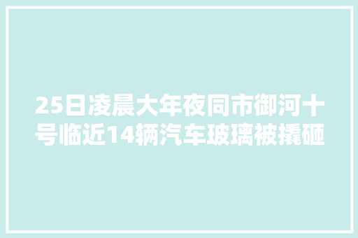 25日凌晨大年夜同市御河十号临近14辆汽车玻璃被撬砸车内财物被洗劫一空