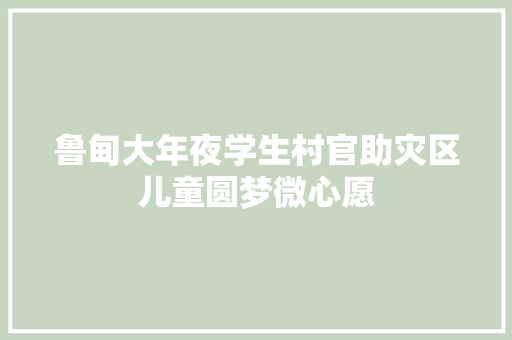 鲁甸大年夜学生村官助灾区儿童圆梦微心愿