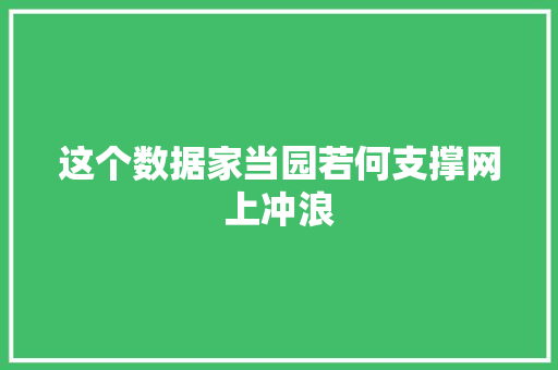 这个数据家当园若何支撑网上冲浪