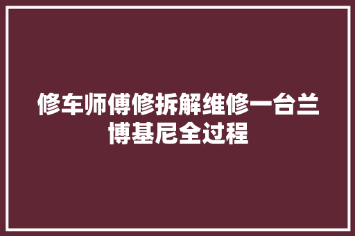修车师傅修拆解维修一台兰博基尼全过程