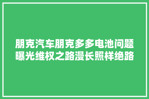 朋克汽车朋克多多电池问题曝光维权之路漫长照样绝路