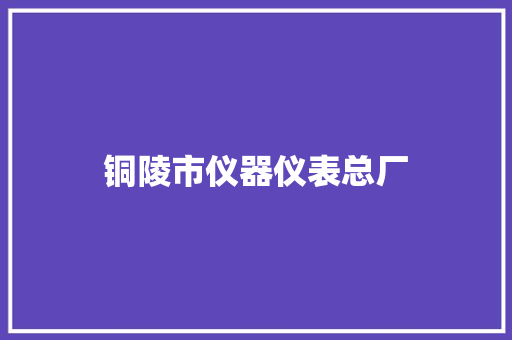 铜陵市仪器仪表总厂