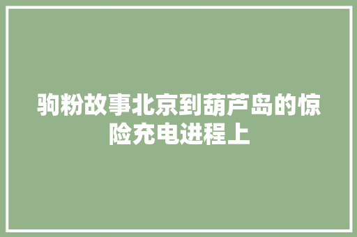 驹粉故事北京到葫芦岛的惊险充电进程上
