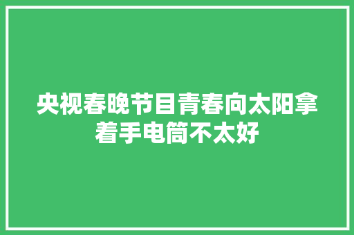 央视春晚节目青春向太阳拿着手电筒不太好