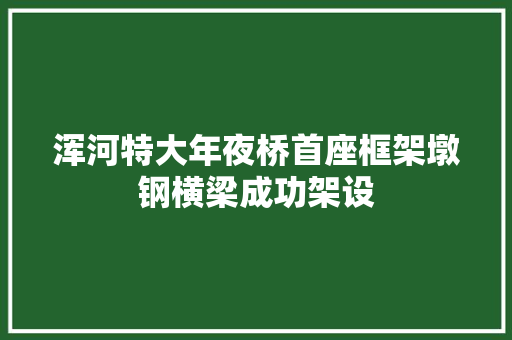 浑河特大年夜桥首座框架墩钢横梁成功架设