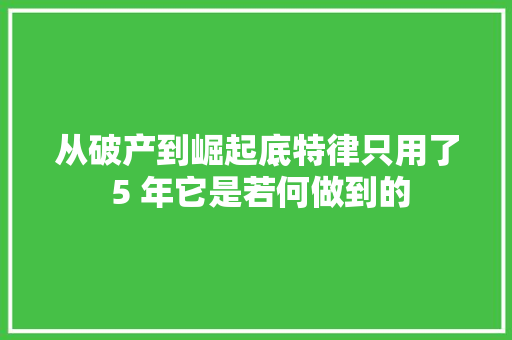 从破产到崛起底特律只用了 5 年它是若何做到的