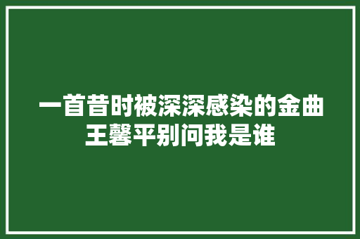 一首昔时被深深感染的金曲王馨平别问我是谁