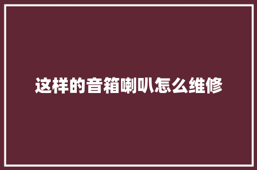 这样的音箱喇叭怎么维修