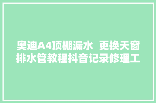 奥迪A4顶棚漏水  更换天窗排水管教程抖音记录修理工的日常