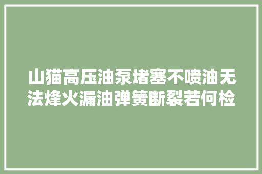 山猫高压油泵堵塞不喷油无法烽火漏油弹簧断裂若何检查维修