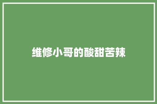 维修小哥的酸甜苦辣