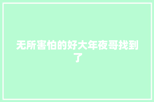 无所害怕的好大年夜哥找到了