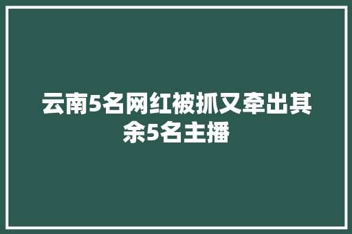 云南5名网红被抓又牵出其余5名主播