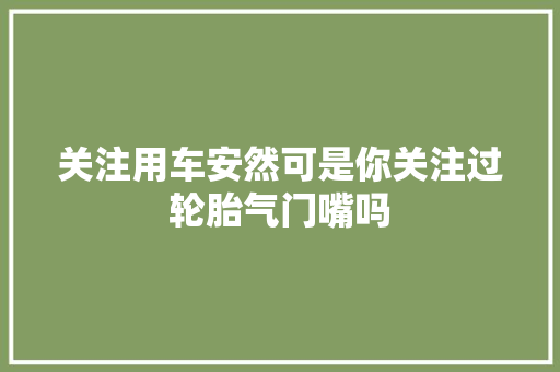 关注用车安然可是你关注过轮胎气门嘴吗