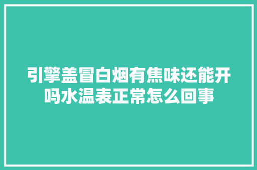 引擎盖冒白烟有焦味还能开吗水温表正常怎么回事