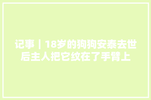 记事｜18岁的狗狗安泰去世后主人把它纹在了手臂上