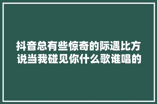 抖音总有些惊奇的际遇比方说当我碰见你什么歌谁唱的 小宇歌词介绍