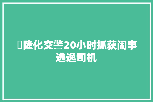 ​隆化交警20小时抓获闹事逃逸司机