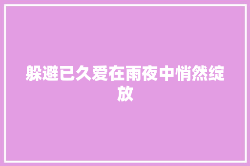 躲避已久爱在雨夜中悄然绽放