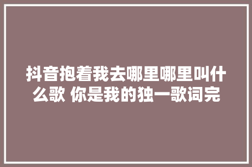 抖音抱着我去哪里哪里叫什么歌 你是我的独一歌词完整版