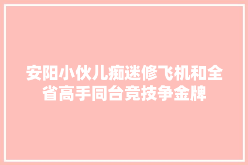 安阳小伙儿痴迷修飞机和全省高手同台竞技争金牌