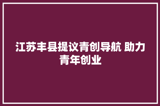 江苏丰县提议青创导航 助力青年创业