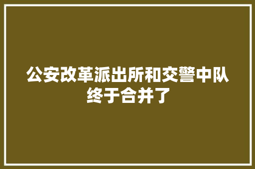 公安改革派出所和交警中队终于合并了