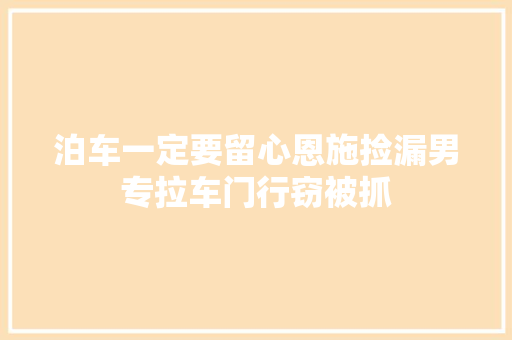 泊车一定要留心恩施捡漏男专拉车门行窃被抓